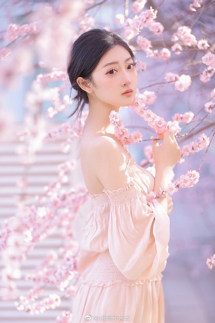 我的团长我的团