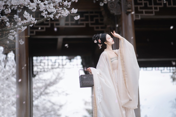 葬送的芙莉莲 封面